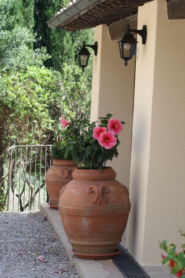 La Banditaccia Monticello Amiata Ngoại thất bức ảnh